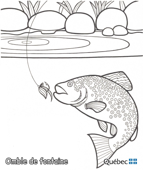 Potočna pastrva iz Životinje