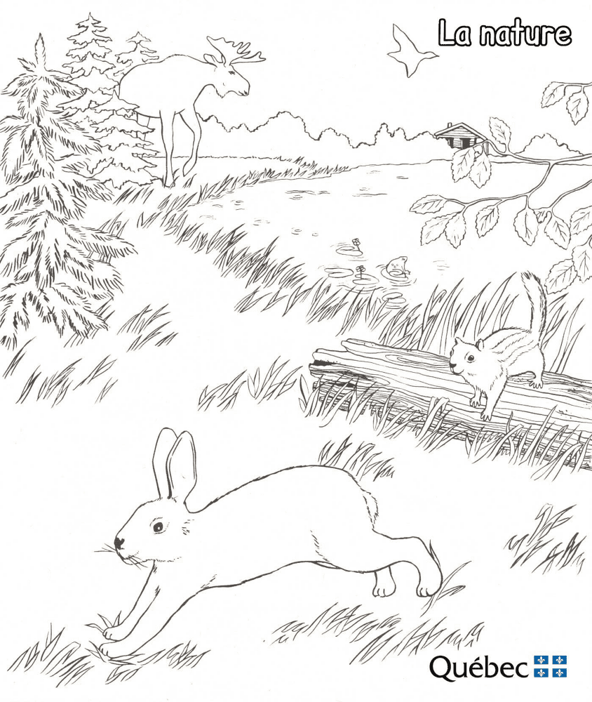 טבע מתוך חיות