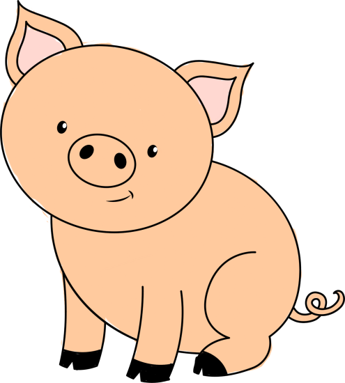 Cute pig fra 