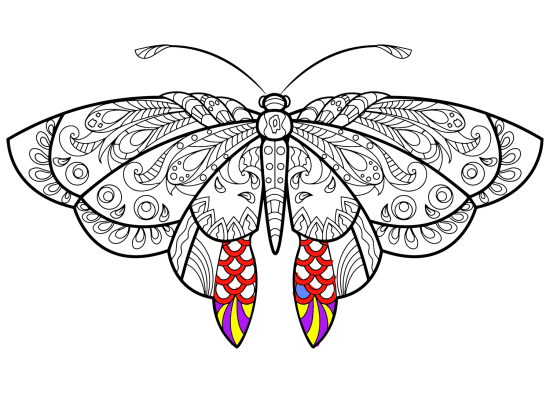 来自  的 Zentangle butterfly