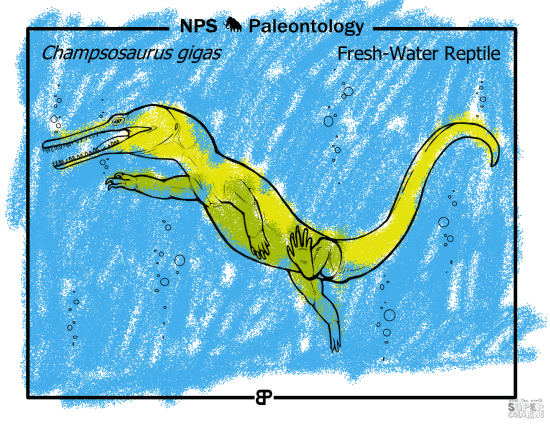 Preshistoric Freswater Crocodile like Reptile (Champsosaurus Gigas) from 